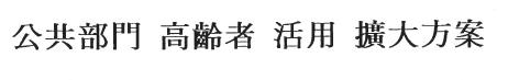 공공부문고령자활용확대방안