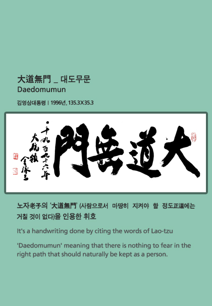 김영삼 - 대도무문
