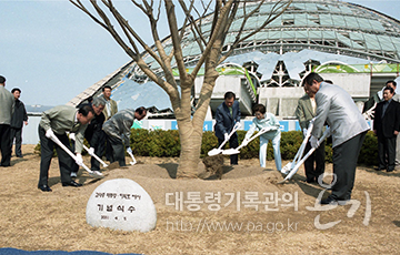 <김대중 대통령 내외분 인천국제공항 식목일 기념식수(2001)>