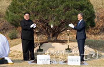 <4.27. 남북정상회담 당시, 기념식수 사진>