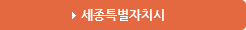 세종특별자치시