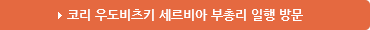 세르비아 부총리 - 코리 우도비츠키