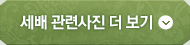 세배 관련사진 더 보기
